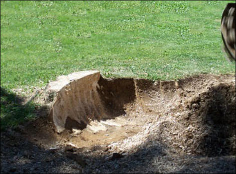 Removing The Complete Stump