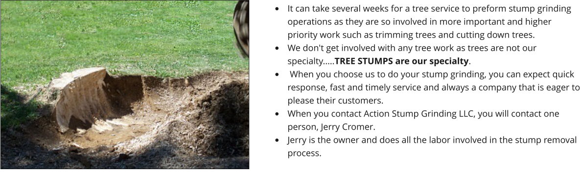 Stump Gringing Windsor